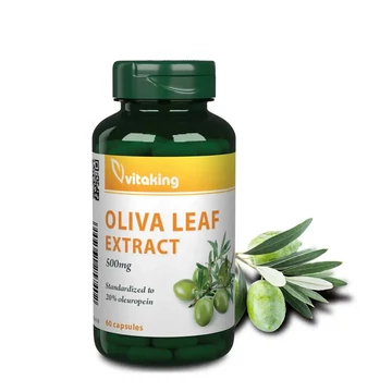 Olivalevél Kivonat 500mg 60 kapszula
