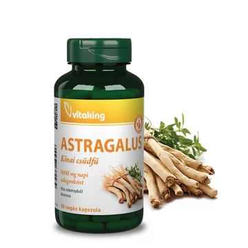 Vitaking Astragalus Kivonat 90 kapszula