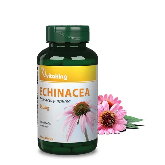 Echinacea (Bíbor Kasvirág) Kivonat 90 kapszula