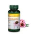 Echinacea (Bíbor Kasvirág) Kivonat 90 kapszula