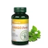 Ginkgo Biloba Forte 120mg (60 kapszula)