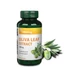 Olivalevél Kivonat 500mg 60 kapszula