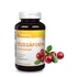Vitaking Tőzegáfonya Kivonat C-Vitaminnal (180 kapszula)