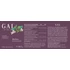 GAL Relax 60db